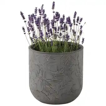 ECLOZ Pot Chester ECLOZ