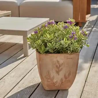 ECLOZ Carré Amano ECLOZ