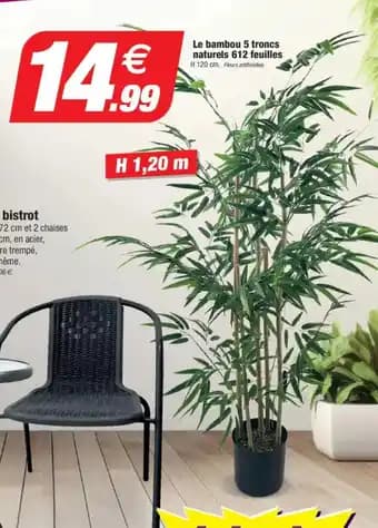 Le bambou 5 troncs naturels