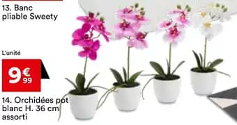 Orchidées pot blanc assorti 36 cm