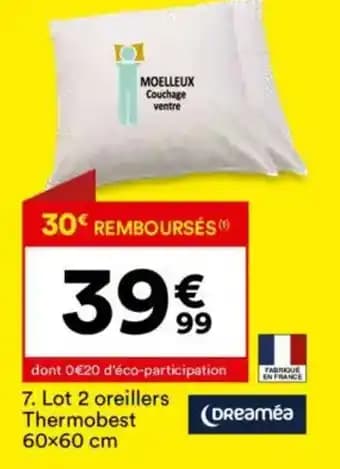 Lot 2 oreillers Thermobest 60x60 cm