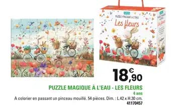 Sassi Puzzle magique à l'eau - les fleurs