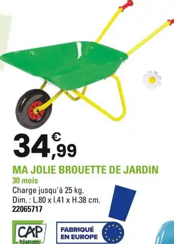 Ma jolie brouette de jardin