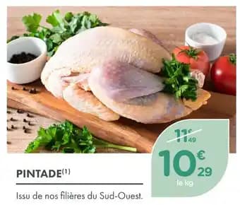 Promotion Exclusives de 2
Pintade : Découvrez l'Offre incontournable