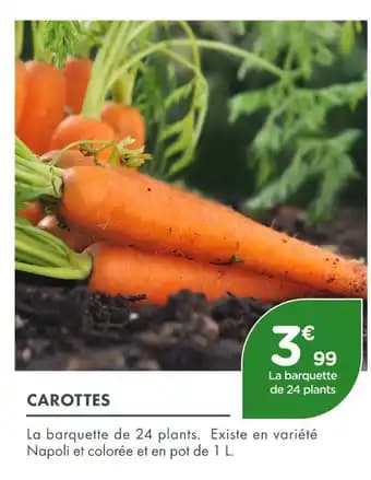 Promotion Exclusives de 16
            
        
        Carottes : Découvrez l'Offre incontournable