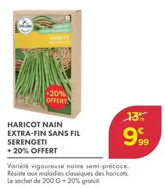 Caillard Haricot nain extra-fin sans fil Serengeti + 20% offert