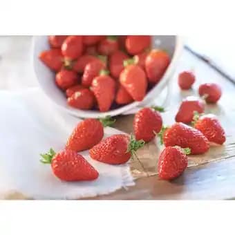 Fraise gariguette Carrefour