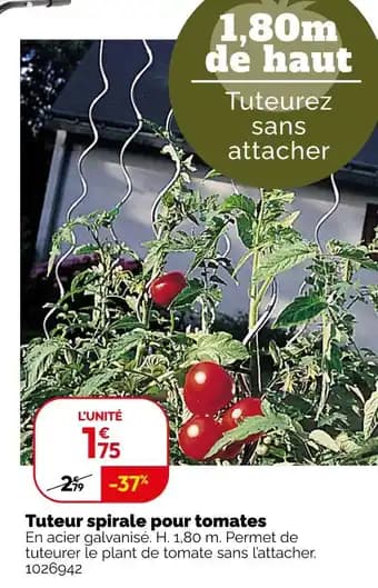 Promotion Exclusives de 49
Tomates : Découvrez l'Offre incontournable