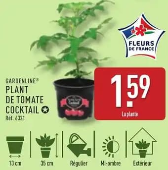 Promotion Exclusives de 8
Gardenline : Découvrez l'Offre incontournable