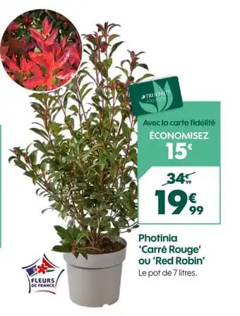 Promotion Exclusives de 15
            
        
        Red : Découvrez l'Offre incontournable