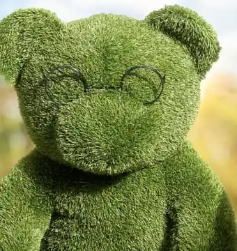 Promotion Exclusives de 53
Gazon : Découvrez l'Offre incontournable