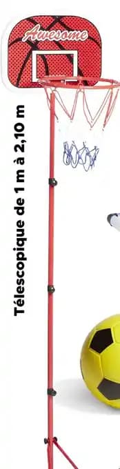 Panier de basket
