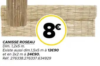 Canisse roseau