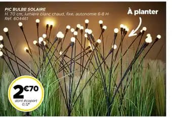 Promotion Exclusives de 2
Bulbe : Découvrez l'Offre incontournable