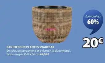 Promotion Exclusives de 36
            
        
        Pour plantes : Découvrez l'Offre incontournable