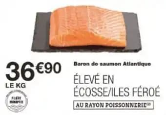 Baron de saumon Atlantique