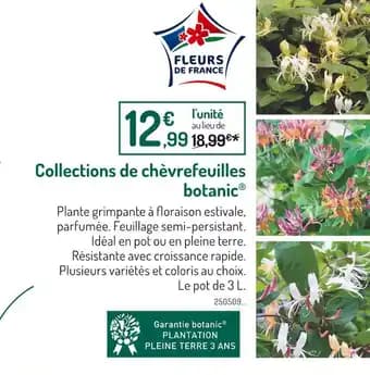 botanic Collections de chèvrefeuilles