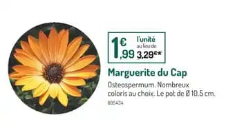 Promotion Exclusives de 38
Cap : Découvrez l'Offre incontournable