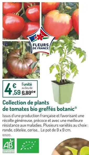 Promotion Exclusives de 42
De tomates : Découvrez l'Offre incontournable