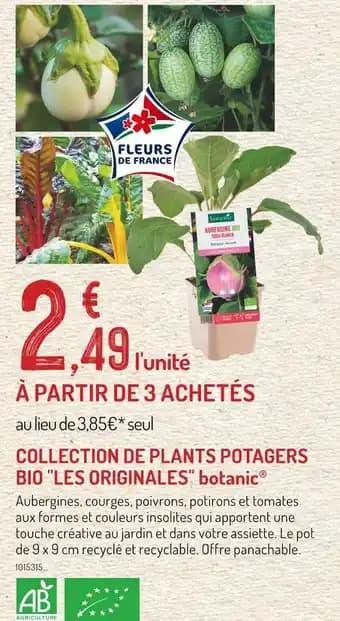 botanic Collection de plants potagers bio Les originales