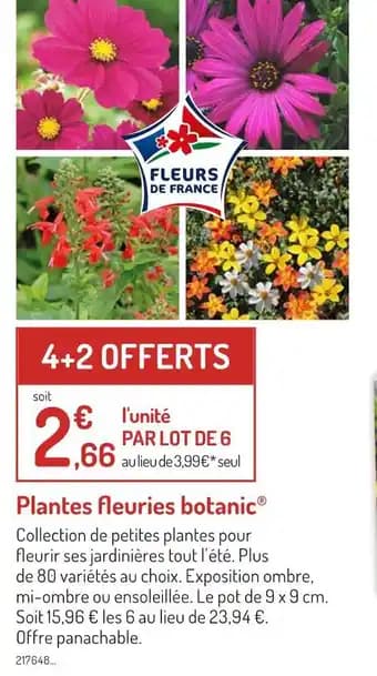 botanic Plantes fleuries