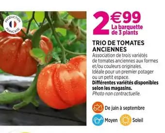 Promotion Exclusives de 2
            
        
        Tomates anciennes : Découvrez l'Offre incontournable