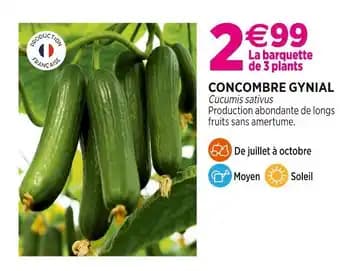 Promotion Exclusives de 14
            
        
        Concombre : Découvrez l'Offre incontournable