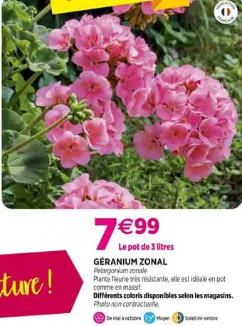 Promotion Exclusives de 2
            
        
        Zonal : Découvrez l'Offre incontournable