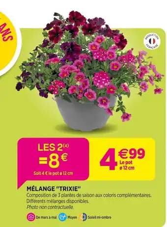 Promotion Exclusives de 4
            
        
        Trixie : Découvrez l'Offre incontournable