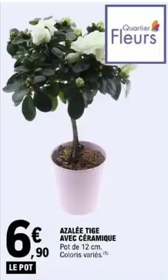 Azalée tige avec céramique