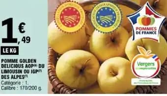 Promotion Exclusives de 9
            
        
        Golden : Découvrez l'Offre incontournable