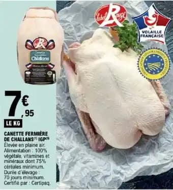 Promotion Exclusives de Canette fermière : Découvrez l'Offre incontournable