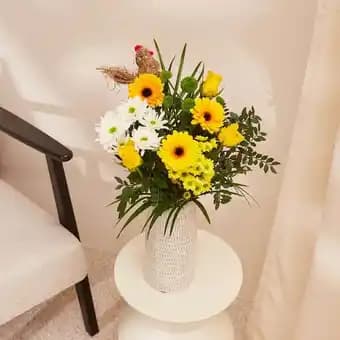 Promotion Exclusives de 8
            
        
        Cocotte : Découvrez l'Offre incontournable