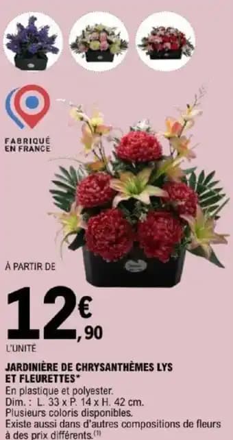 Promotion Exclusives de 1
            
        
        Chrysanthèmes : Découvrez l'Offre incontournable