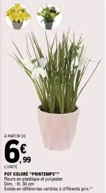 Pot coloré "printemps”