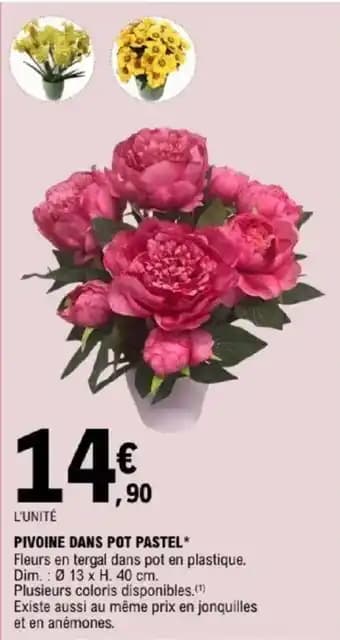 Pivoine dans pot pastel