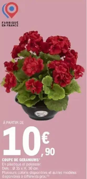 Promotion Exclusives de 9
            
        
        Géraniums : Découvrez l'Offre incontournable