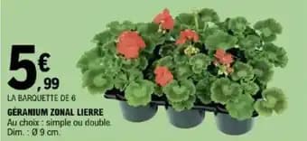 Promotion Exclusives de 5
            
        
        Zonal : Découvrez l'Offre incontournable