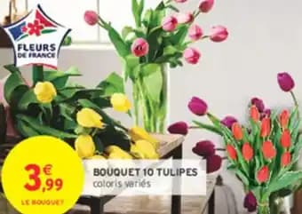 Bouquet 10 tulipes