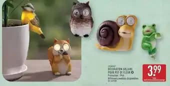 Polpa to de feuon o piccolo