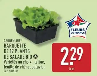 GARDENLINE BARQUETTE DE 12 PLANTS DE SALADE BIO