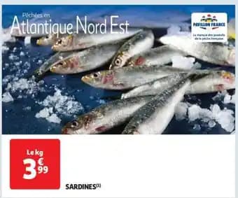 Sardines