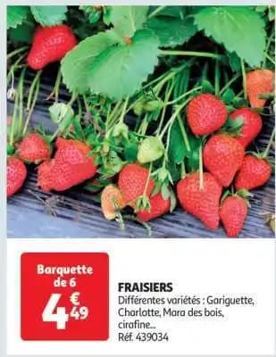 Fraisiers