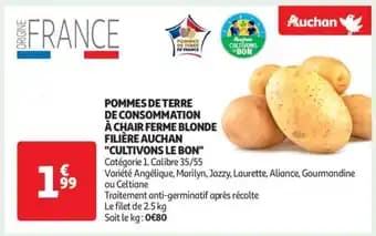 Pommes De Terre De Consommation