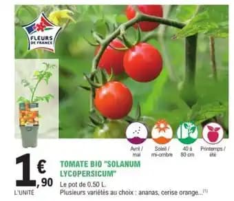 Promotion Exclusives de 51
            
        
        Tomate : Découvrez l'Offre incontournable