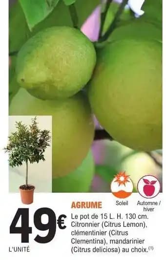 Promotion Exclusives de 2
            
        
        Citronnier : Découvrez l'Offre incontournable