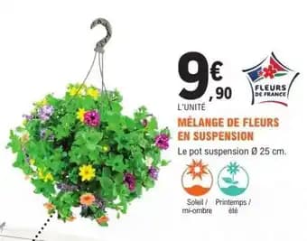 Promotion Exclusives de 17
            
        
        Suspension : Découvrez l'Offre incontournable