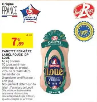 Promotion Exclusives de Oie : Découvrez l'Offre incontournable