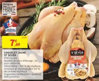 Promotion Exclusives de Coquelet : Découvrez l'Offre incontournable