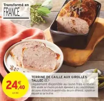 TALLEC TERRINE DE CAILLE AUX GIROLLES